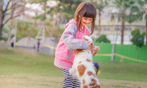 5 Fun Activities Your Kid Can Play With the Dog
