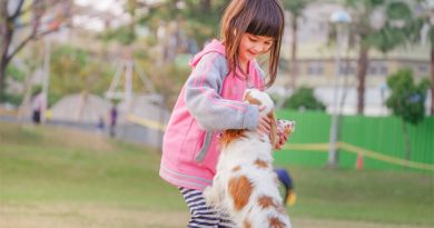 5 Fun Activities Your Kid Can Play With the Dog