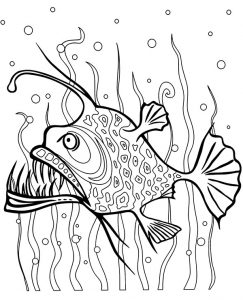 Angler Fish Coloring