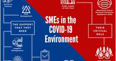 SMEs in the covid19 environment